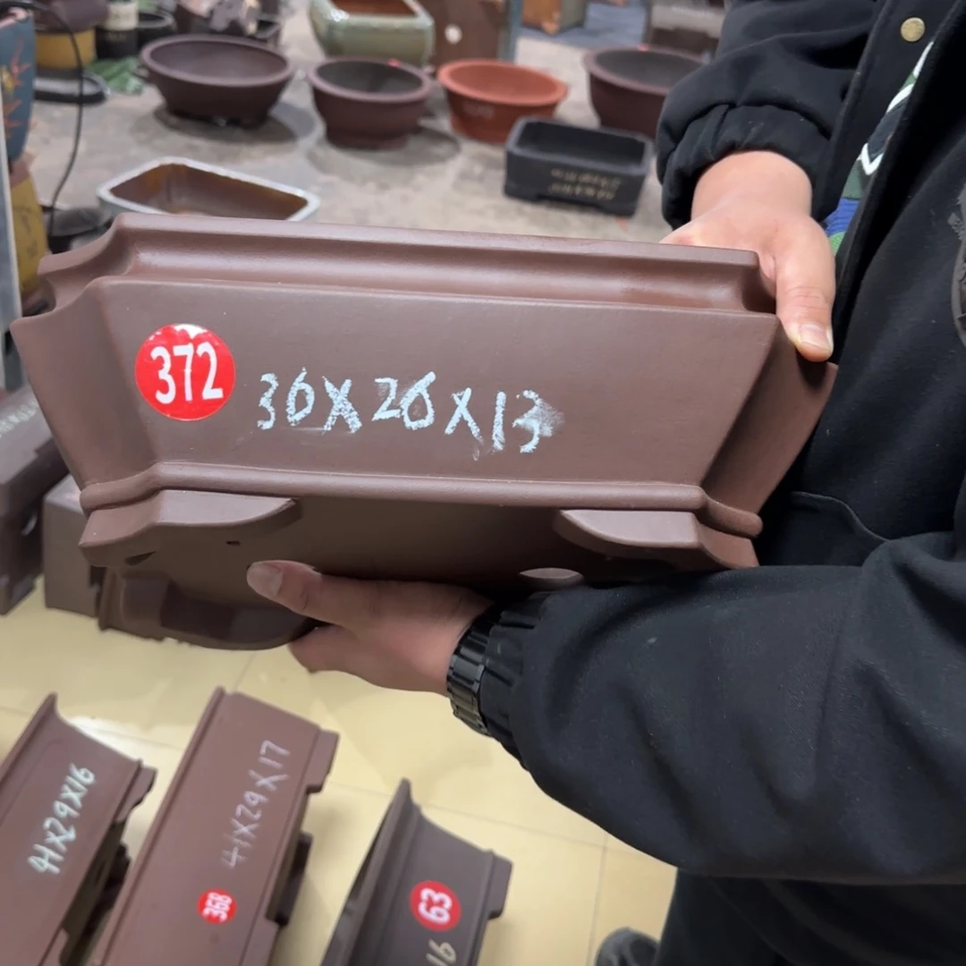 紫砂花盆我呜呜呜呜呜呜