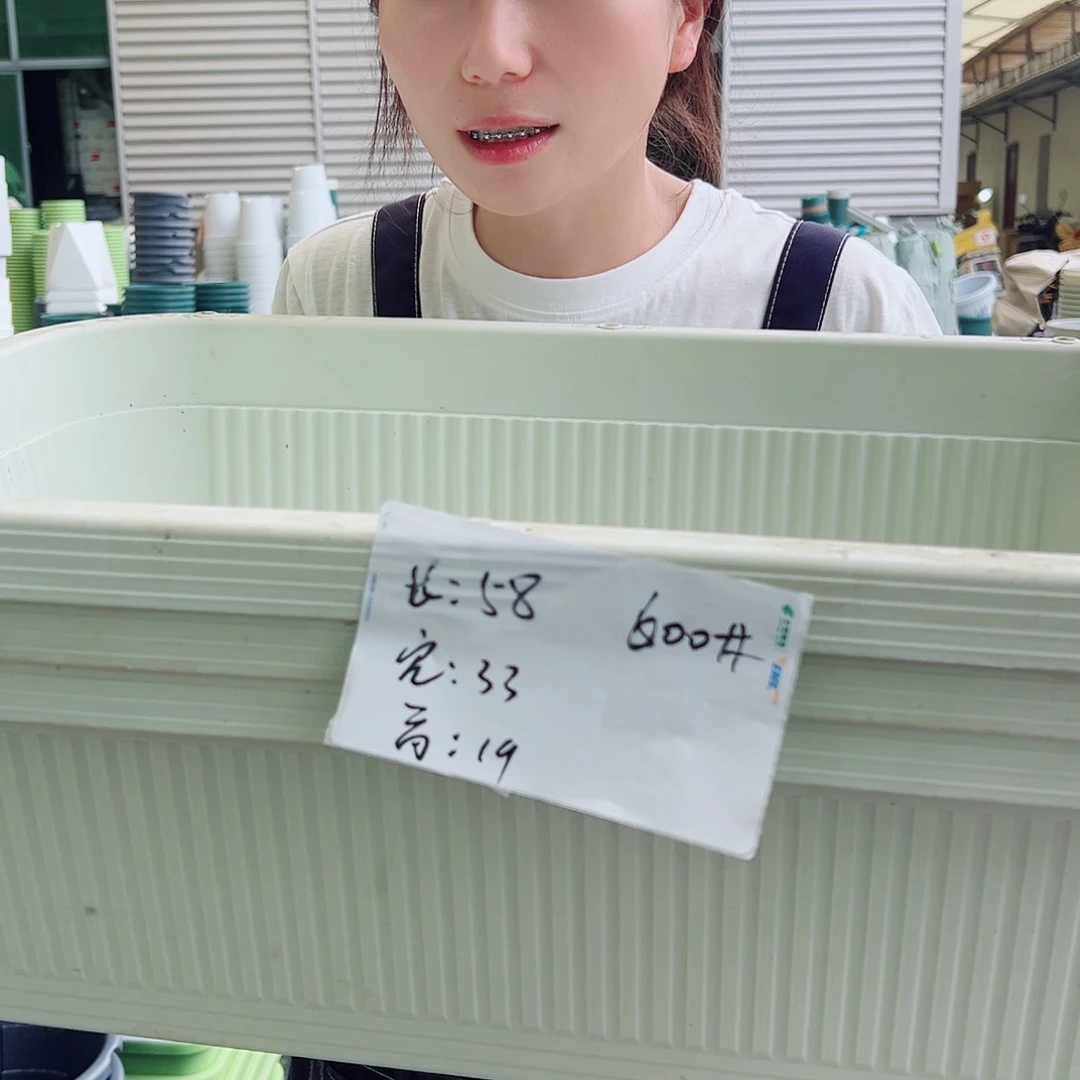 菜盆600#米白3个无托