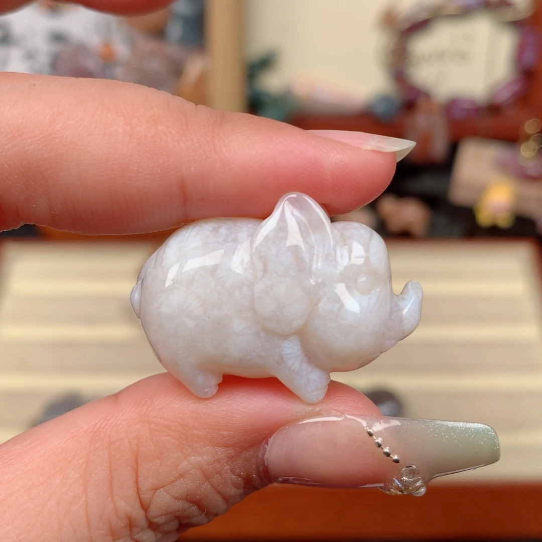 硅化玉未镶嵌颈饰