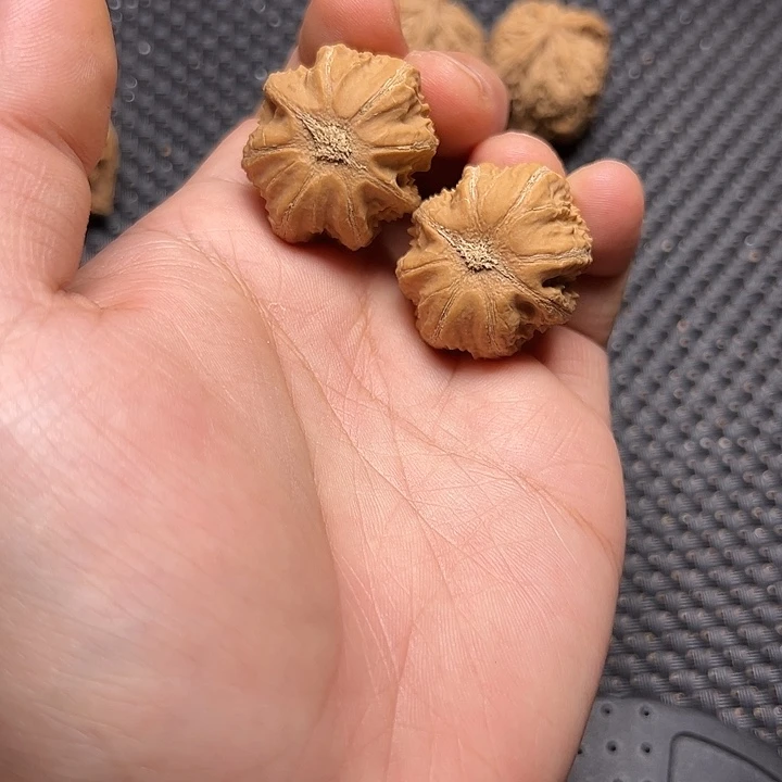 文玩核桃吊坠霸王龙