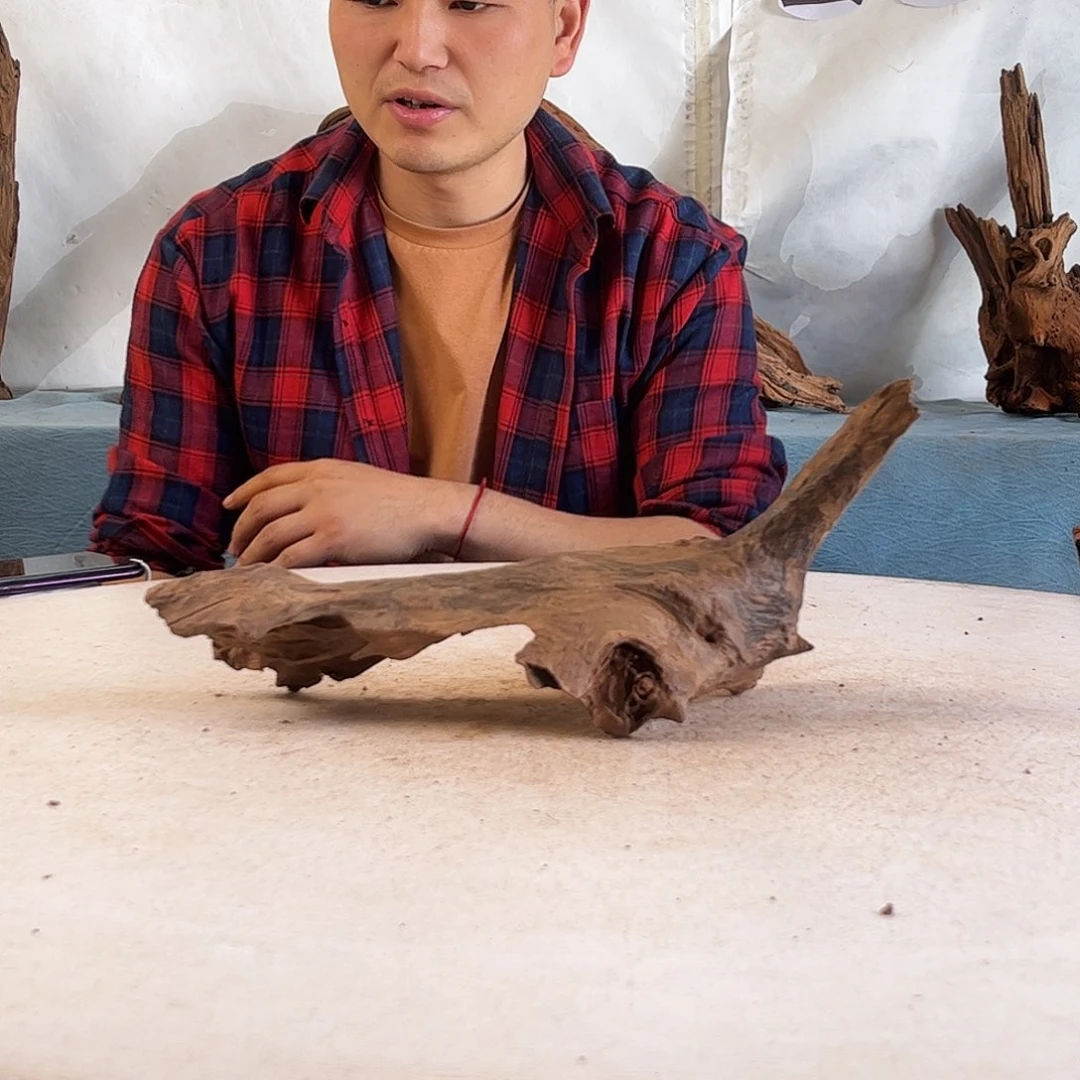 沉木造景爬宠造景