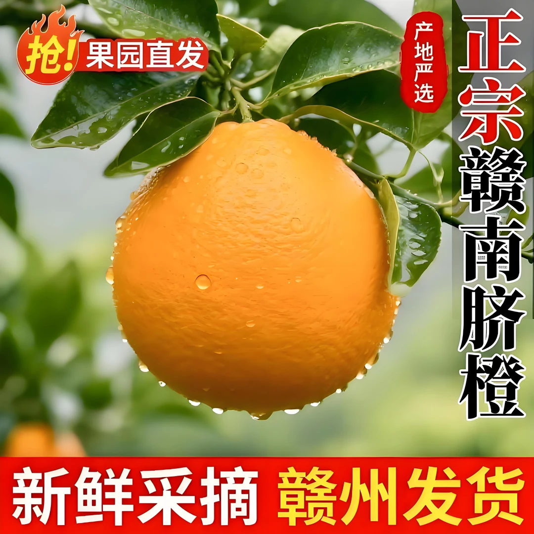 正宗江西赣南脐橙2025新鲜橙子5斤装包邮