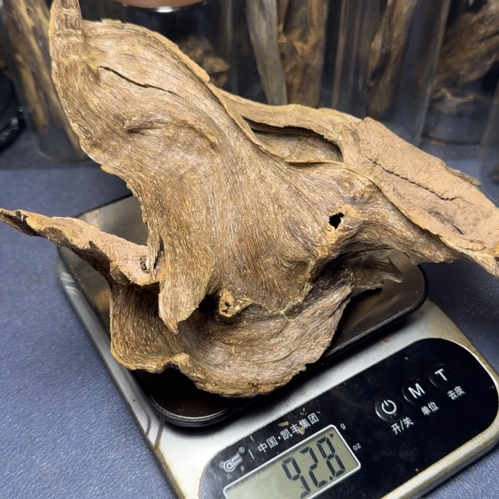 木金****1海南野生国香树根92克