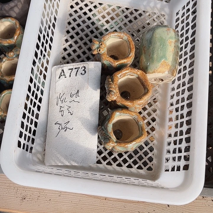 帝*亻773名密密麻麻密密麻麻吗