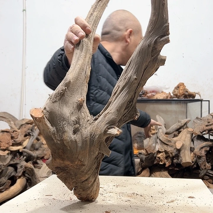 柏木木****店我们的生活是一场