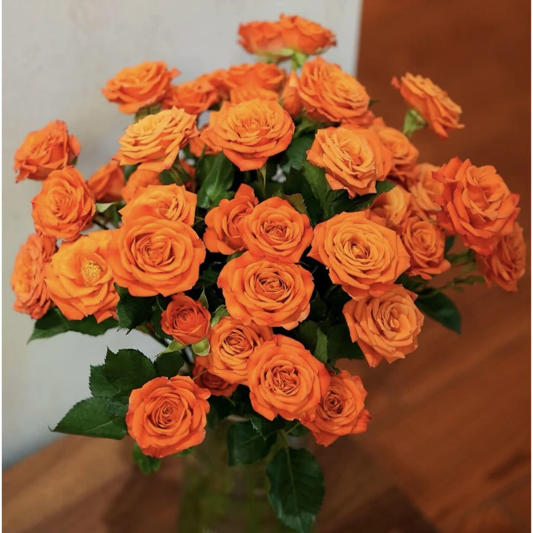 橙色芭比玫瑰10支D级