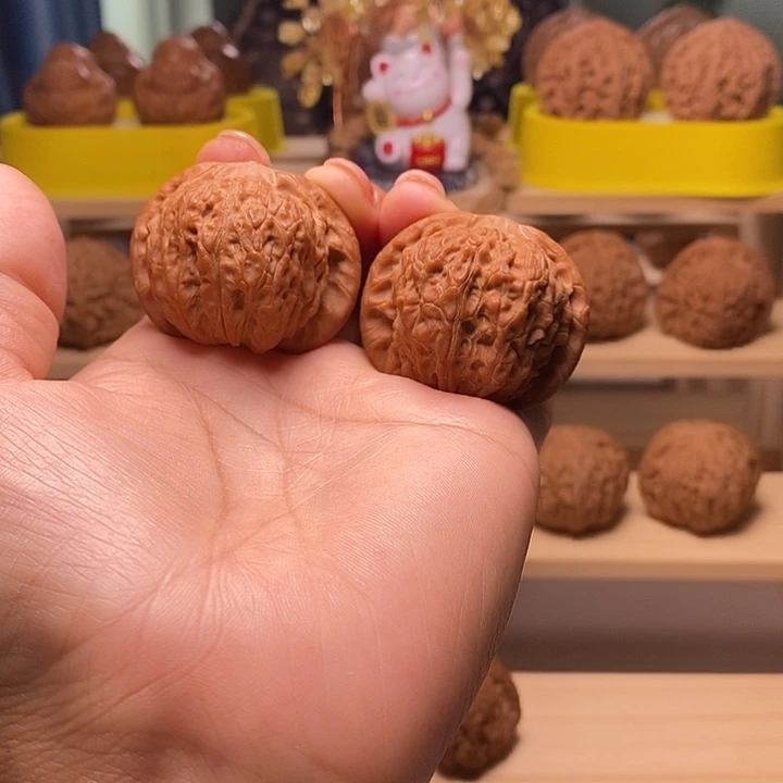 核桃40尺寸的血麒麟