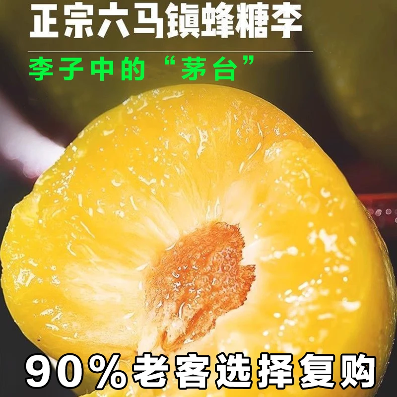 【顺丰锁鲜达】正宗贵州六马蜂糖李新鲜李子现摘现发脆甜蜂糖李