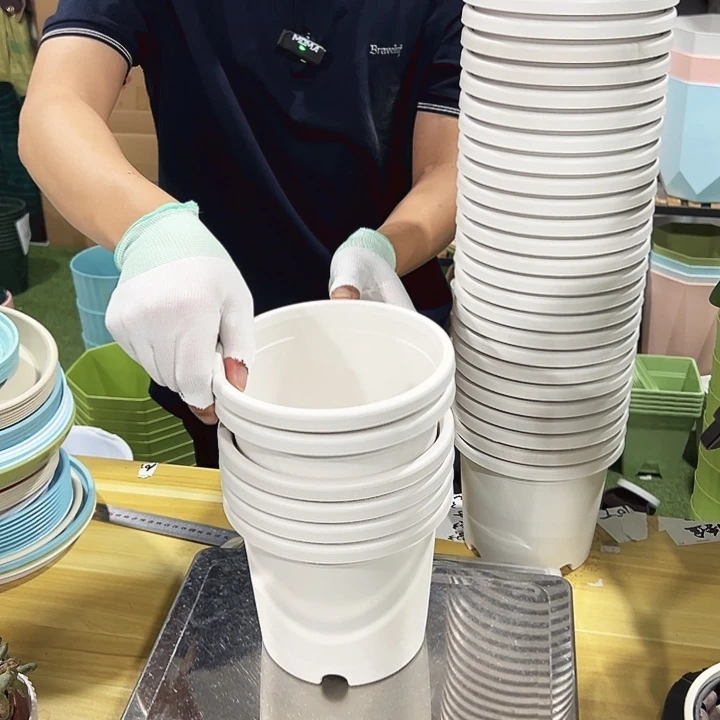 微瑕四季口17高15.5白色无托11个