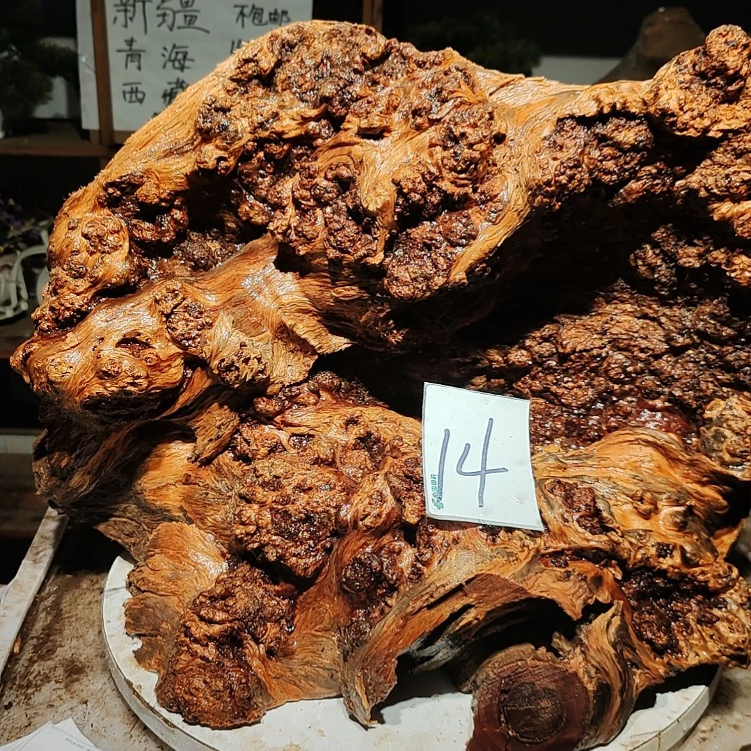 松木愚*14号北沉香琥珀木天然造型