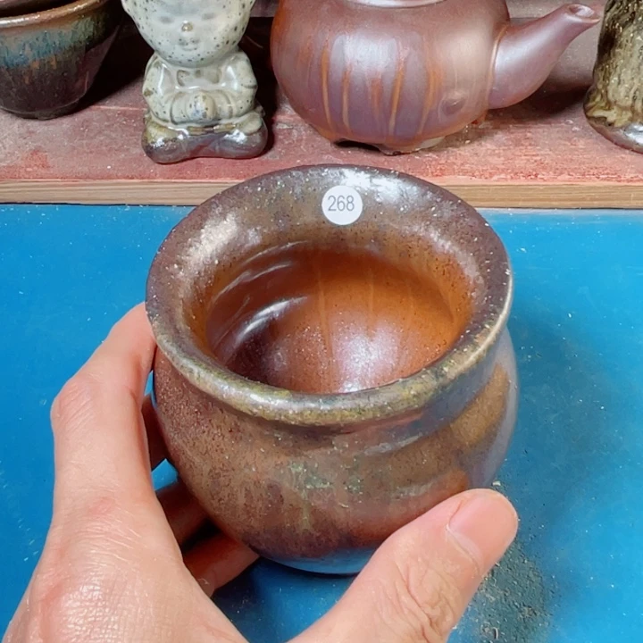 茶宠盏盏灯都是我的错