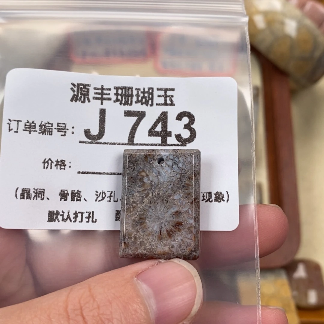 硅化玉颈饰未镶嵌打****了