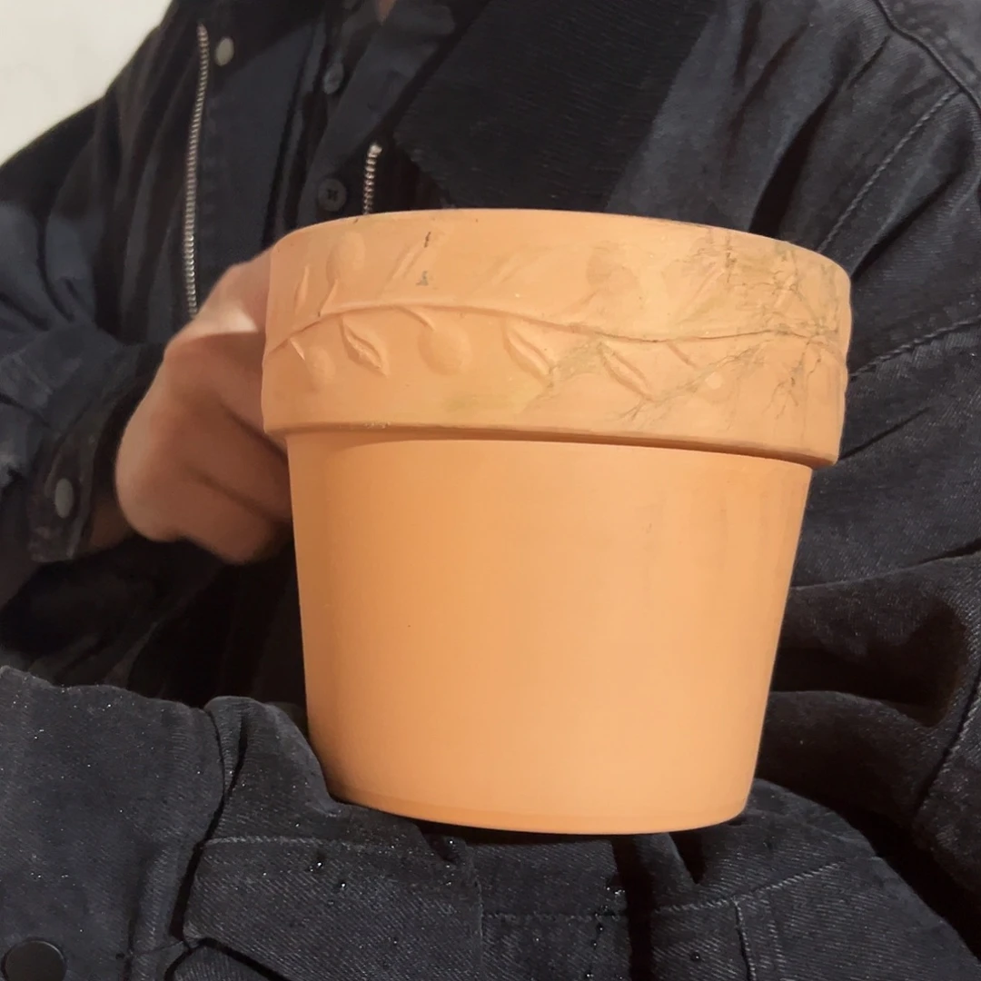 瑕疵泡水橄榄16口14高1个【发黑】