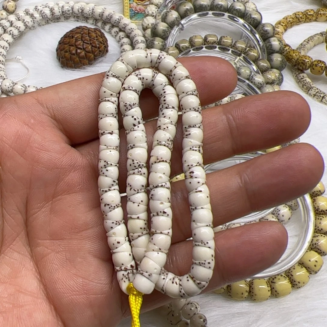 星月菩提手串同枝6厚切大肠