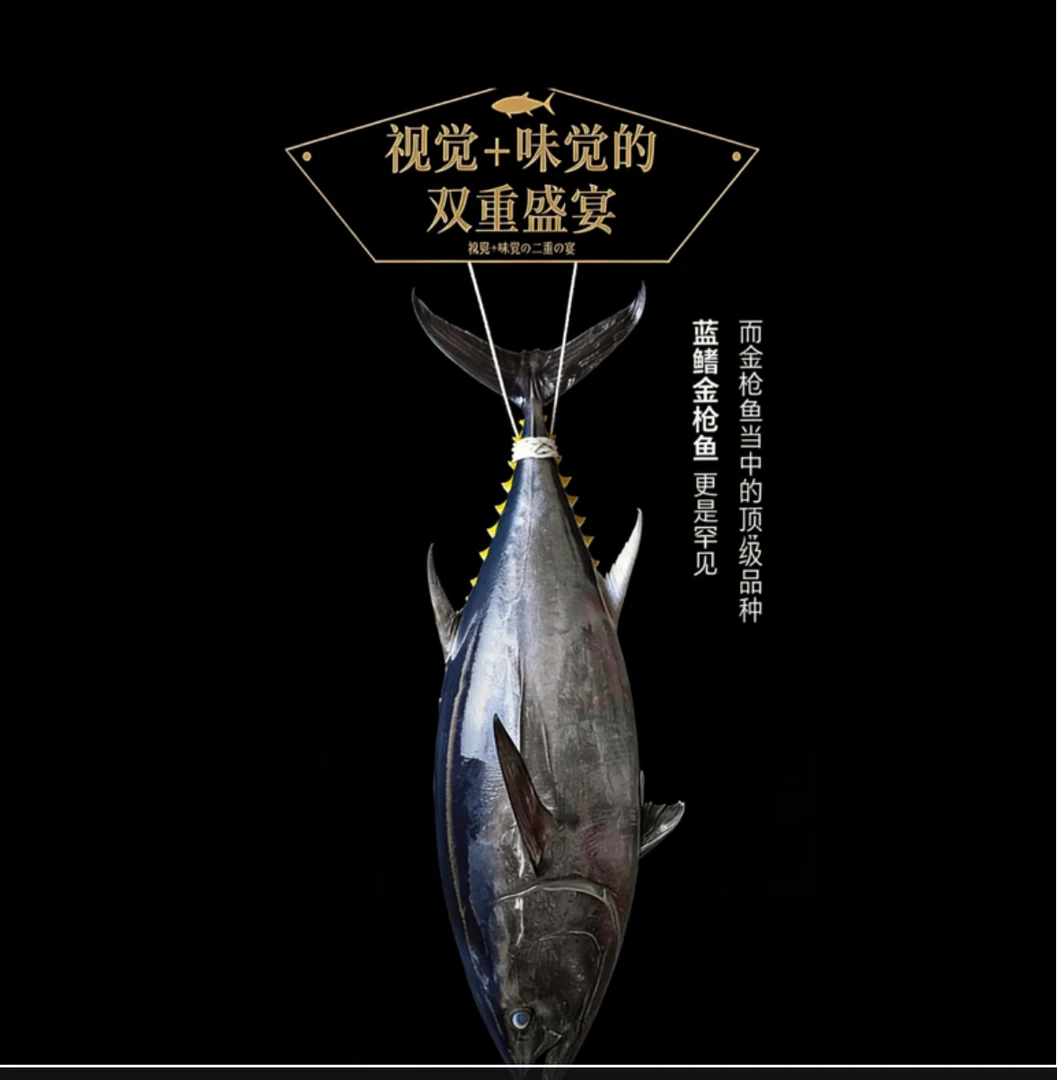 大连发货/蓝鳍野生金枪鱼科/黑鲔鱼/鲔鱼/冷冻发货/介意勿拍