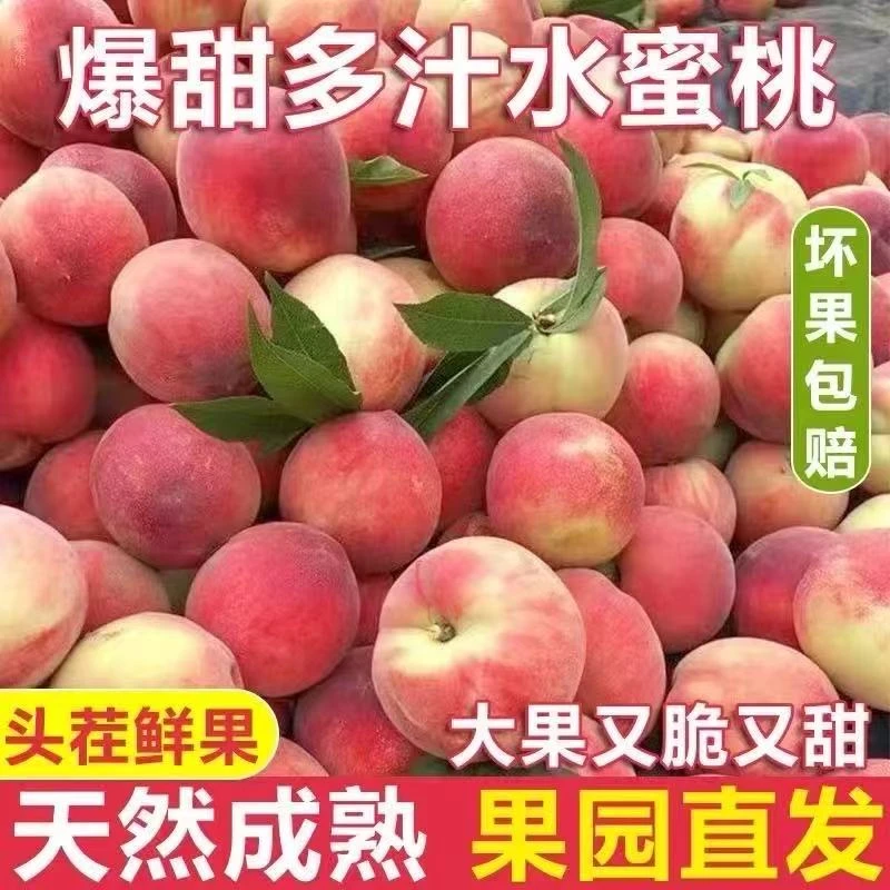 【顺丰包邮】现摘当季水蜜桃脆甜可口直发新鲜桃子