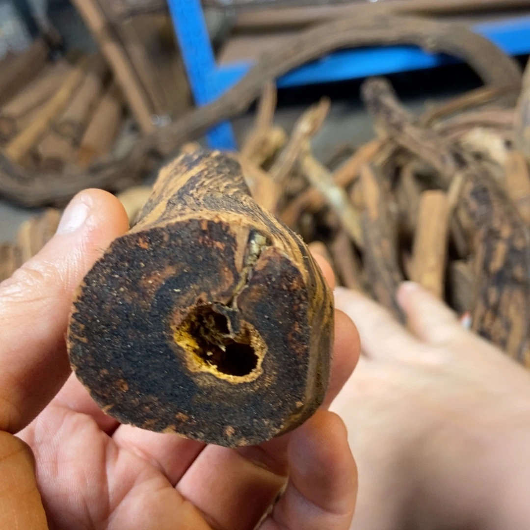 P***E香粉缅甸小叶降真香原材料直发