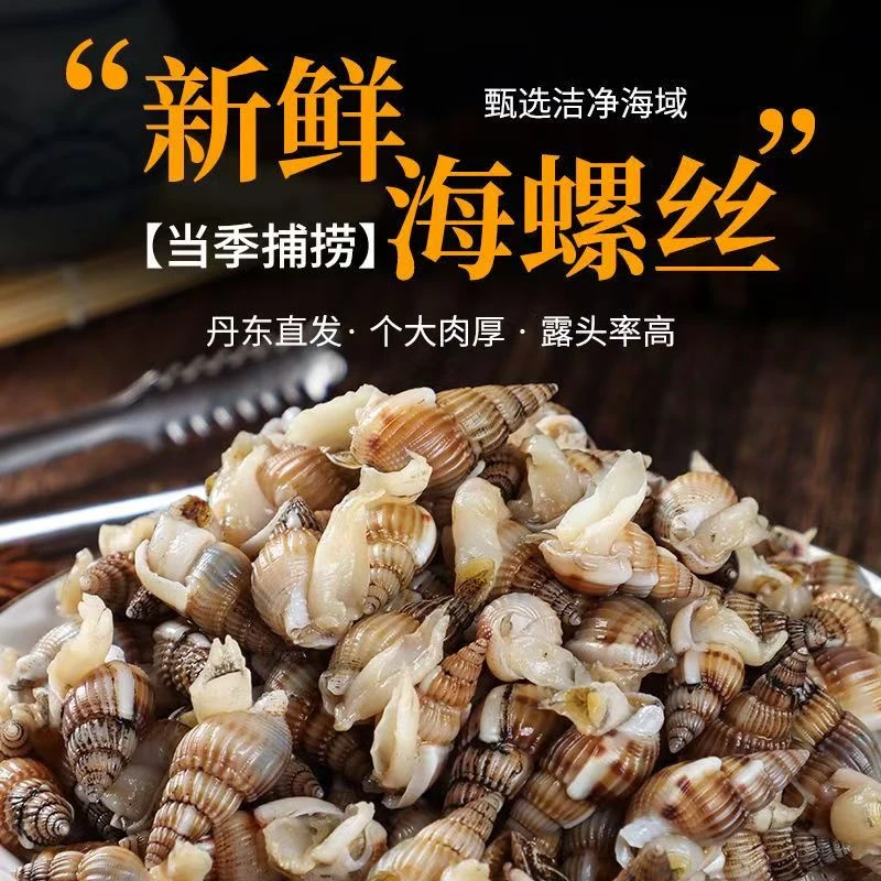 东港美味薄壳海螺丝海锥海瓜子冷链包邮保活保鲜活鲜现发肉质饱满