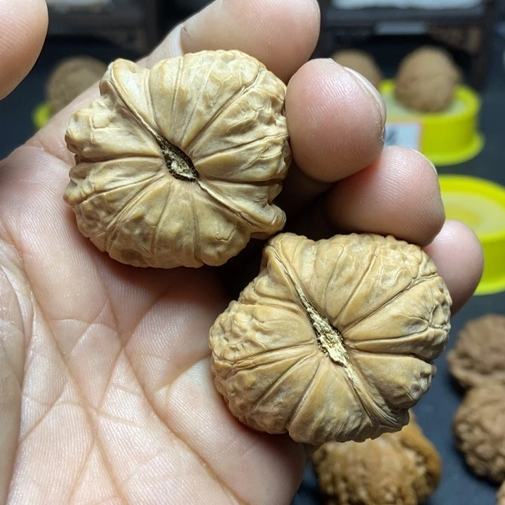 核桃山地南瓜墩002