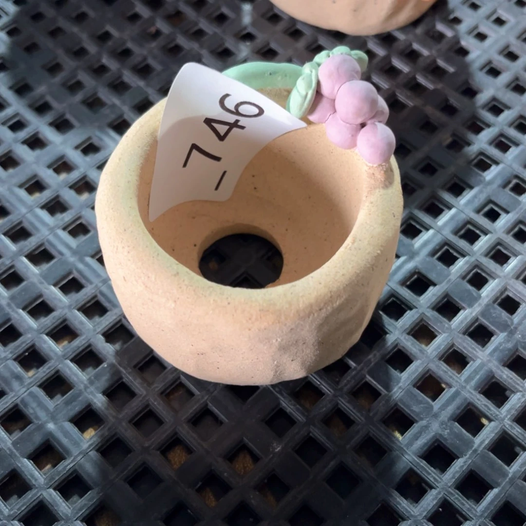 红陶746花盆  1个