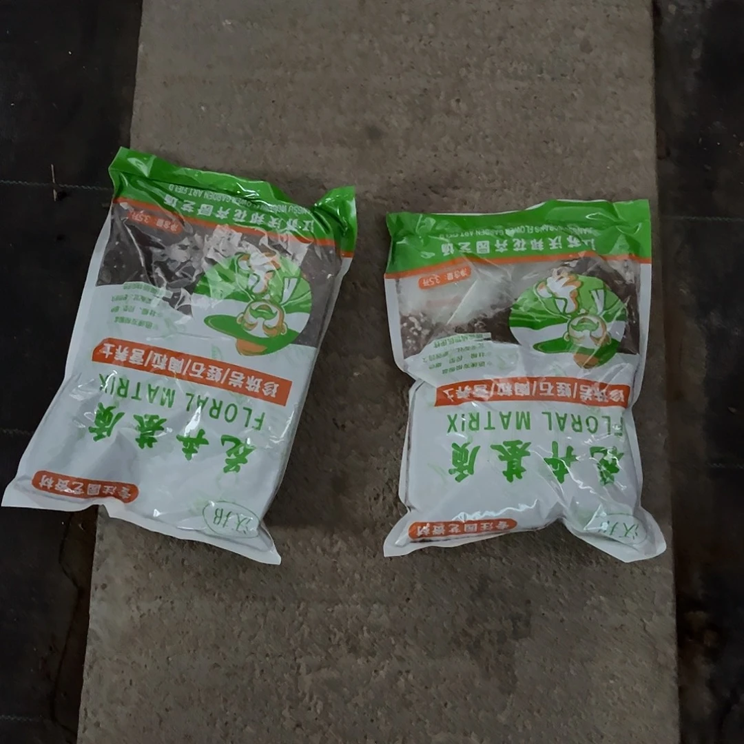 法师多肉哈哈哈哈哈