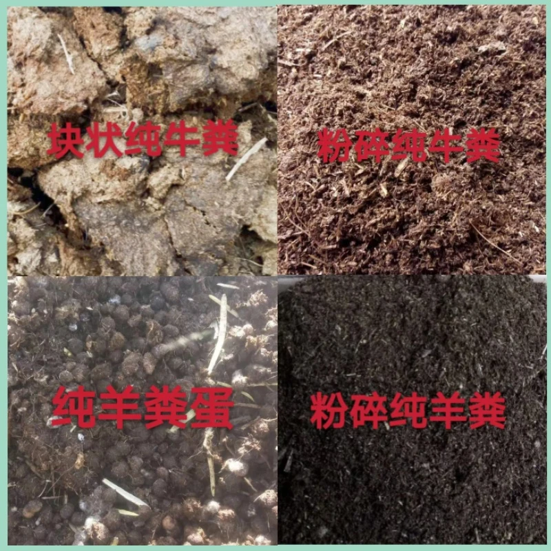 北上粉碎纯牛粪有机肥料完全发酵种菜养花养蚯蚓必备绿肥热卖