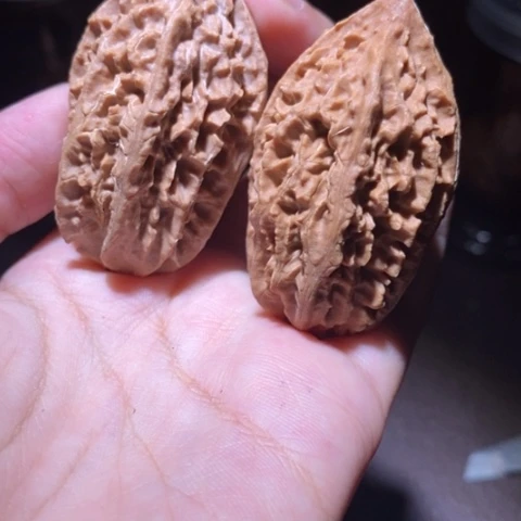 把件文玩核桃东北野生楸子小园 201