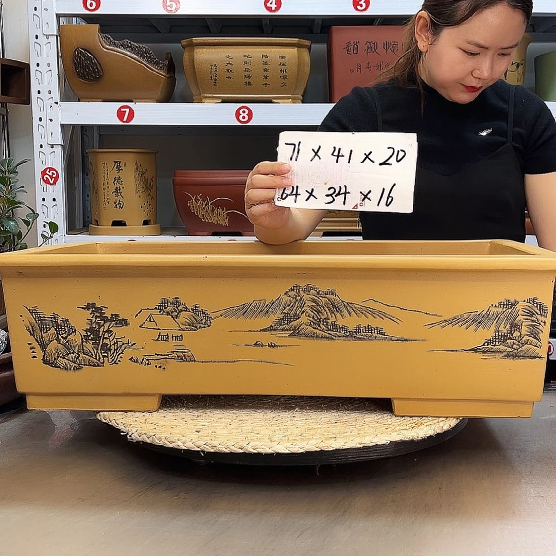 紫砂花盆紫砂花盆
