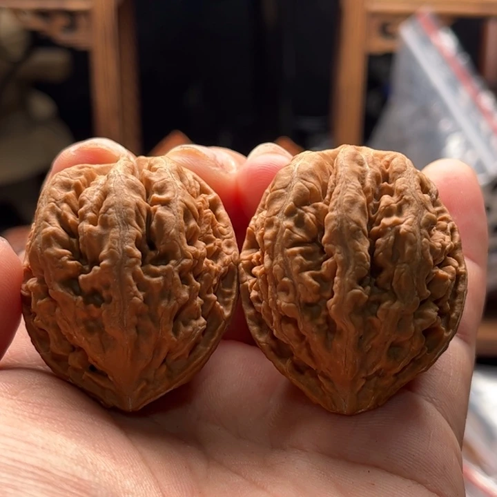 文玩核桃把件楸大胖73