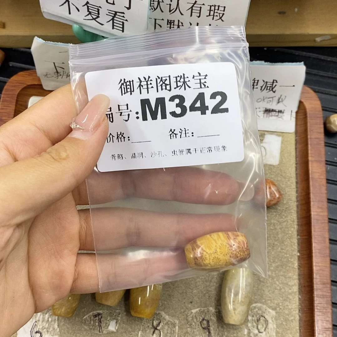 硅化珊瑚(珊瑚玉)未镶嵌颈饰青*
