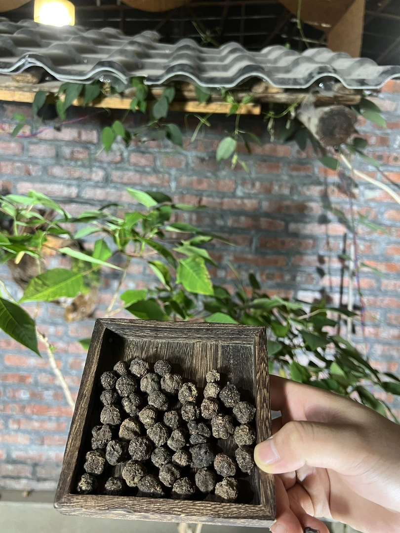 6【现收好物】  小✘淦✘丹   藕150g-500g