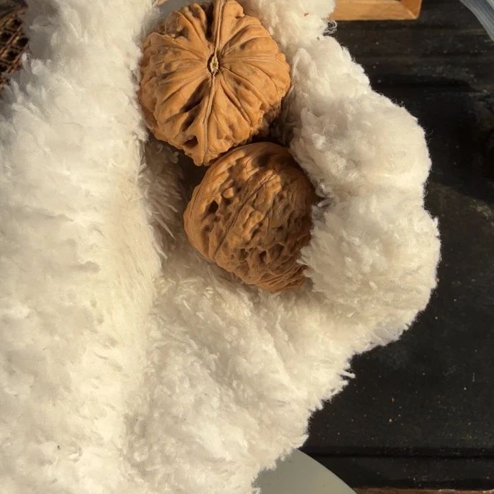 文玩核桃吊坠金蝉子