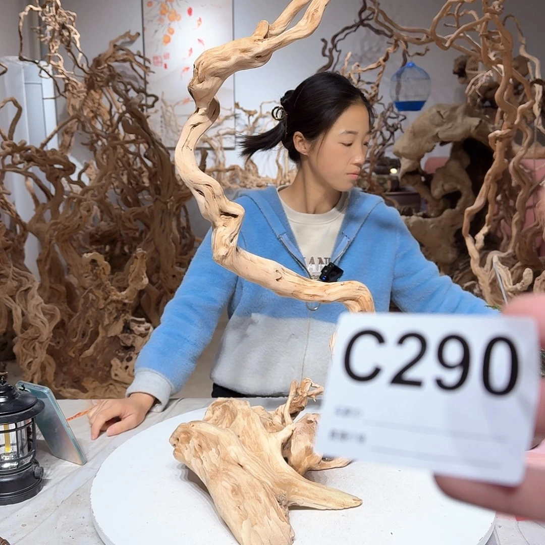 风车木（黑檀木）奔*