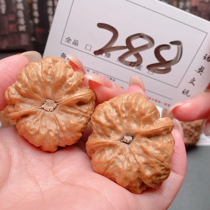 文玩核桃吊坠水*龙288号 40尺