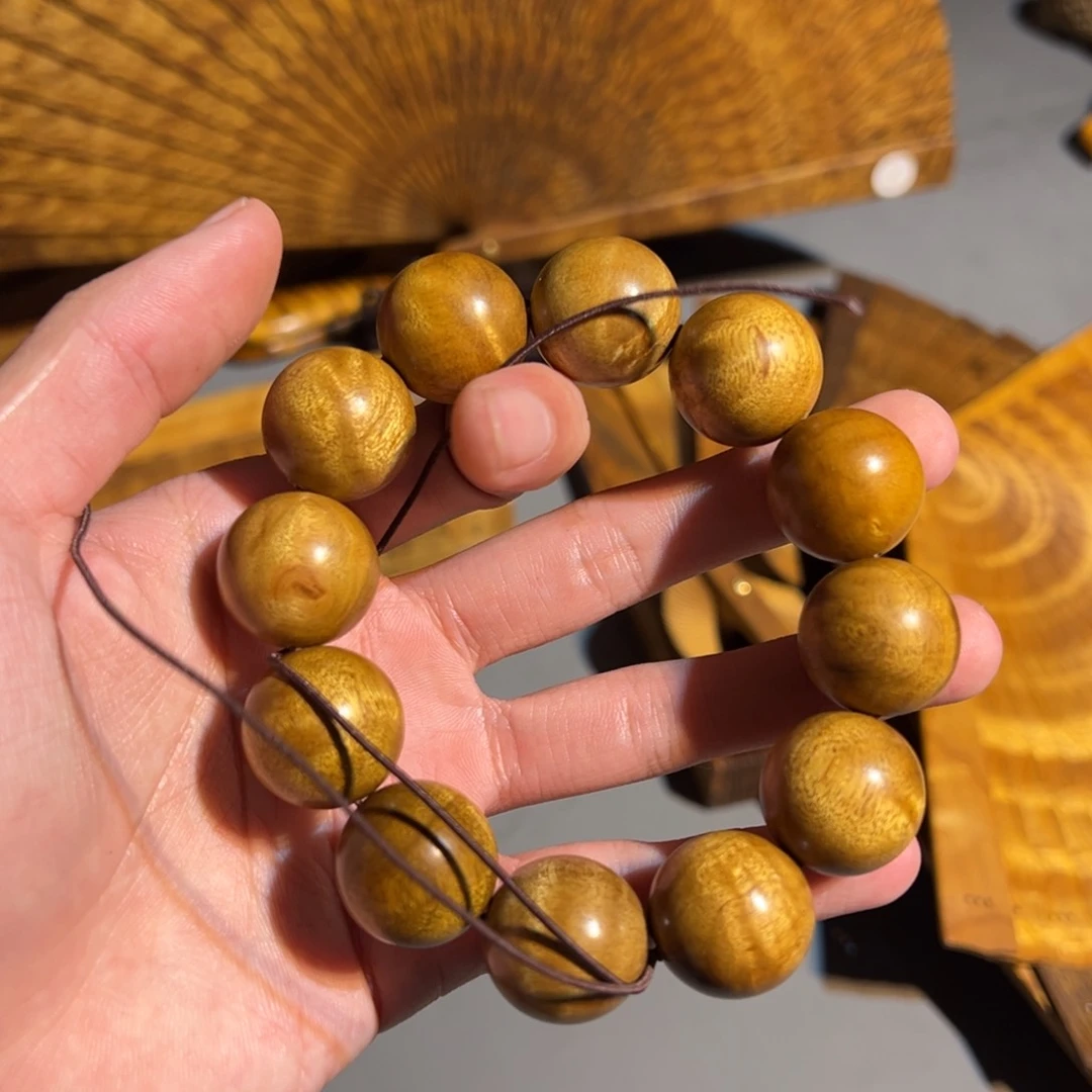 金丝楠金丝楠小叶桢楠