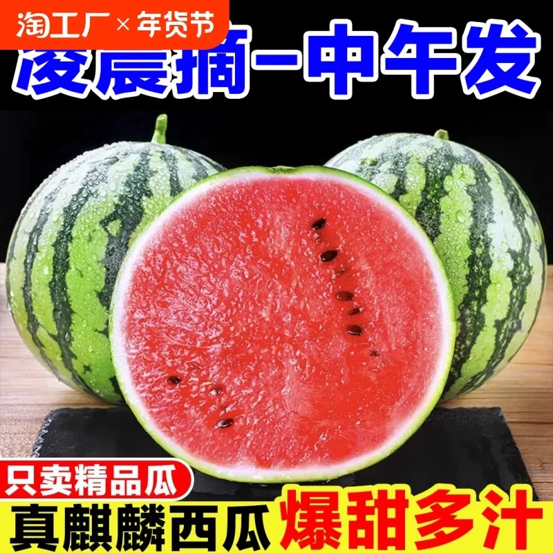 正宗麒麟西瓜新鲜水果现摘超甜8424美都云南海南西瓜薄皮应季整箱