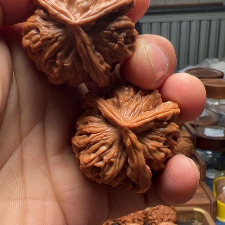 哇***塞把件文玩核桃太行狮子头