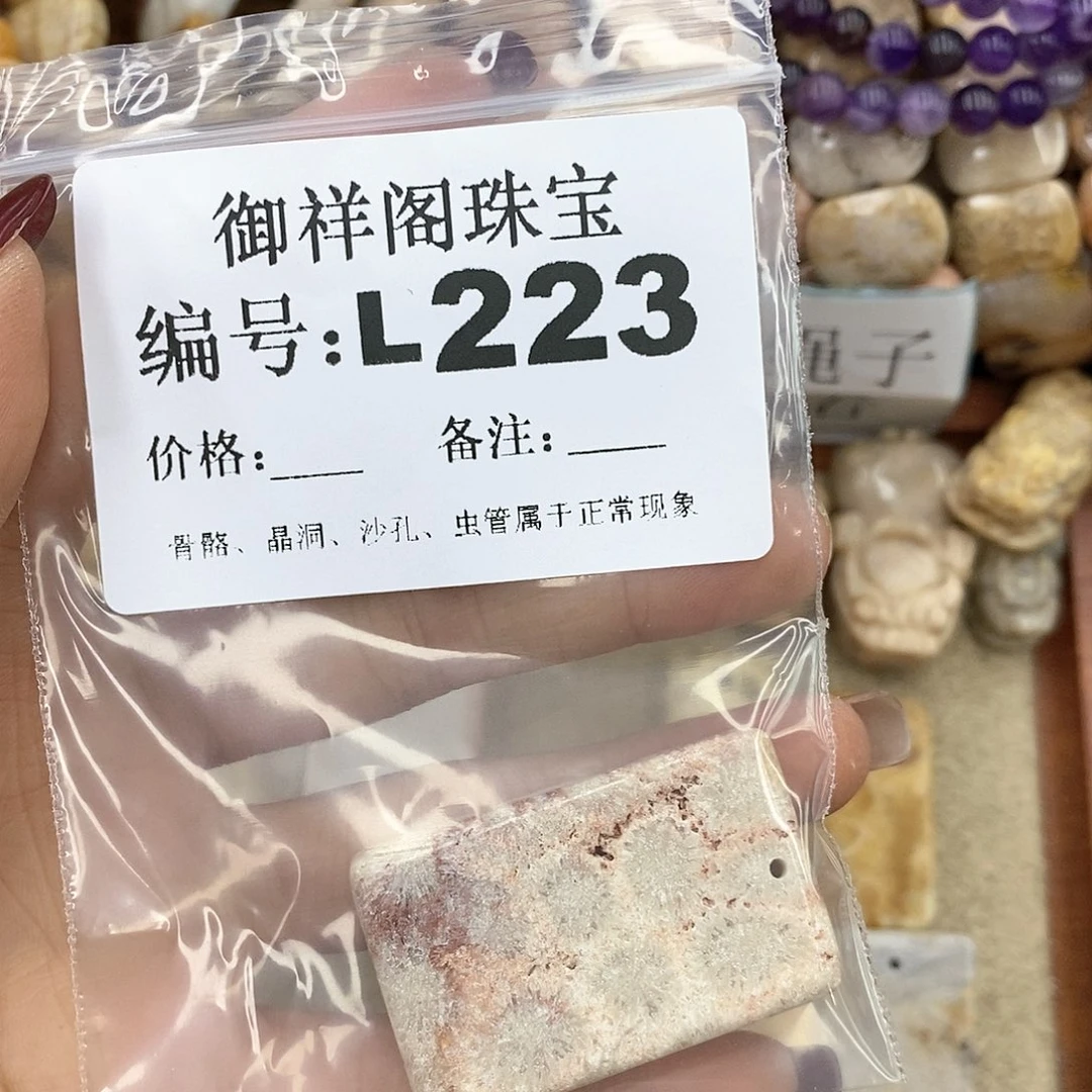 硅化珊瑚（珊瑚玉）L198未镶嵌L***理