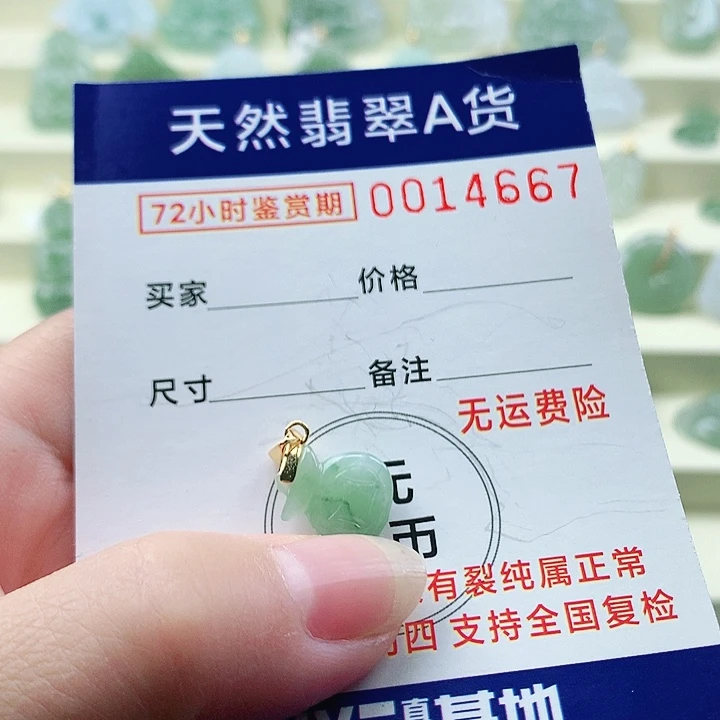 颈饰未镶嵌翡翠吊