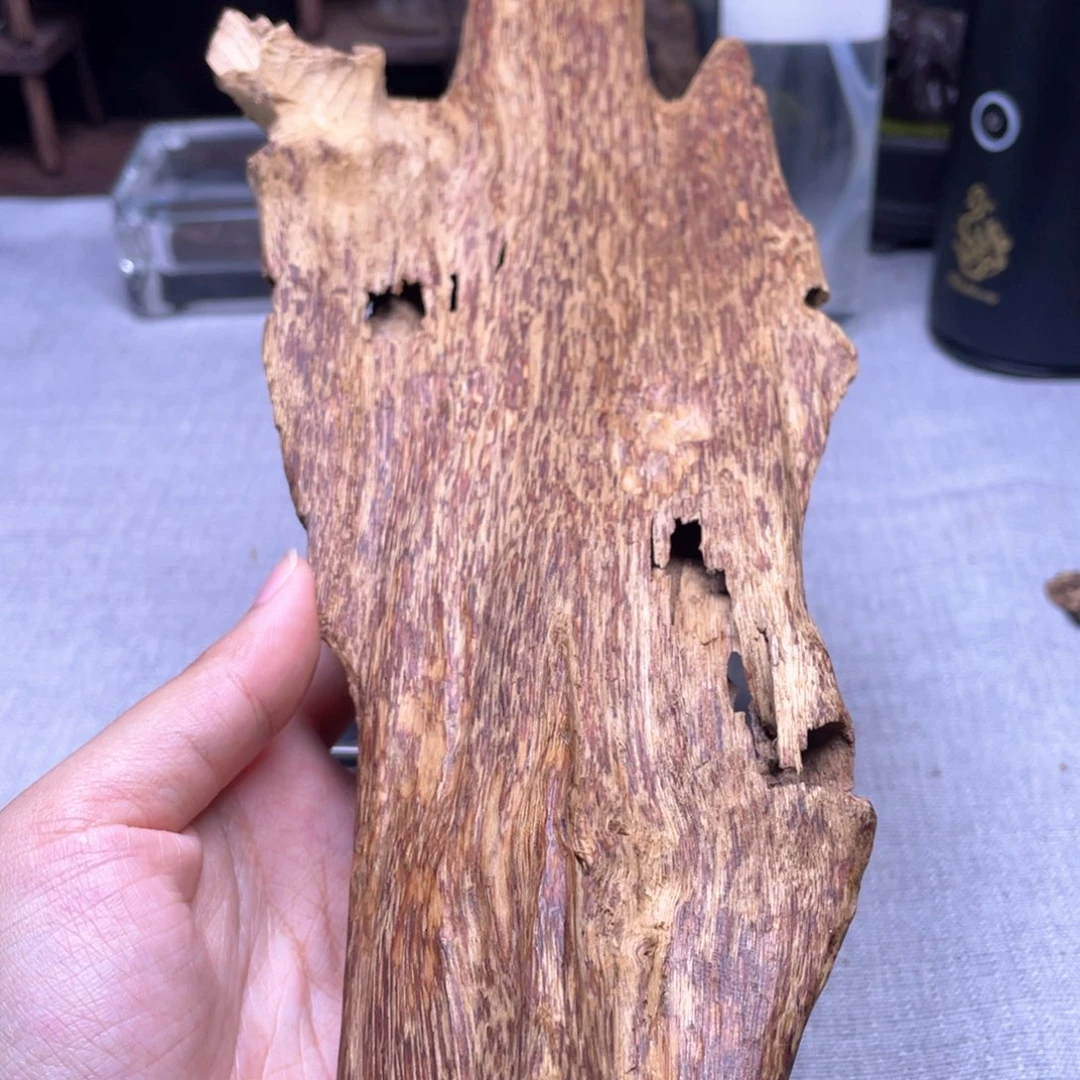 香榧木132克海南大山天然虫漏