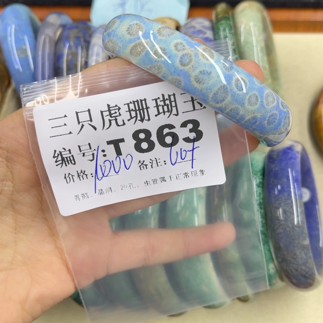 杭***宿硅化珊瑚（珊瑚玉）h未镶嵌