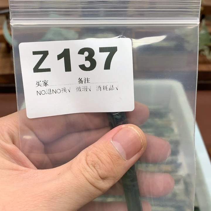 蛇纹石玉发饰未镶嵌晨*