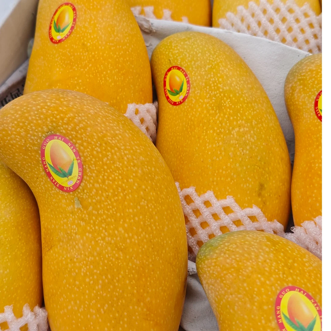 优选水仙芒【500g】芒果同城送