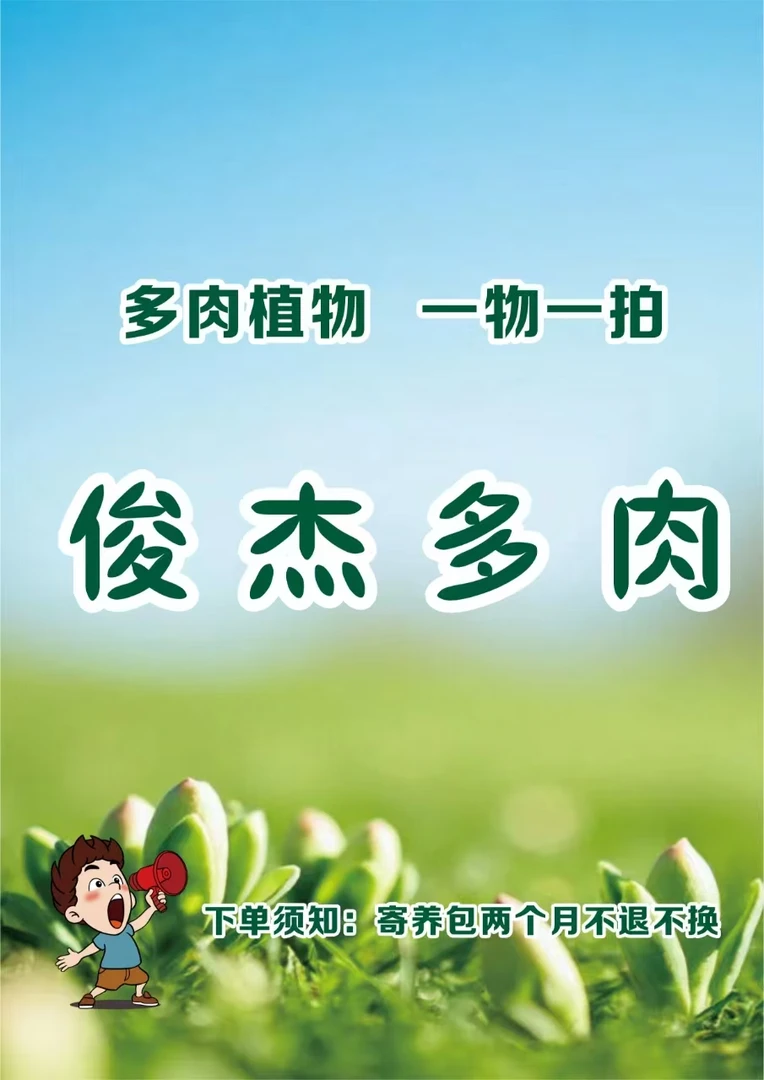 俊杰多肉植物一物一拍二号链接