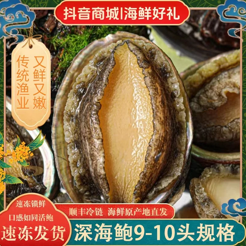 【丰鲍】9-10头鲍鱼5-6cm左右 东山岛深海冷链速冻鲍鱼