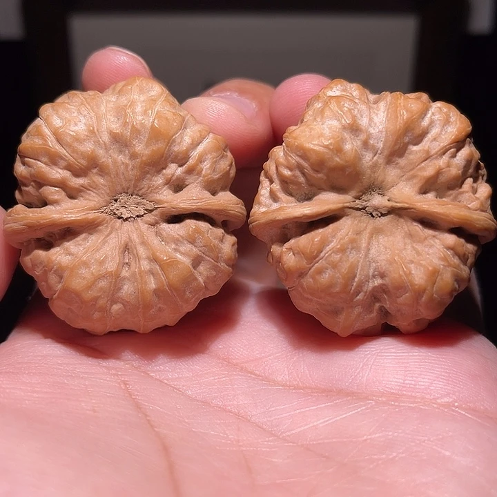 下***续手串/手链核桃蛤蟆头