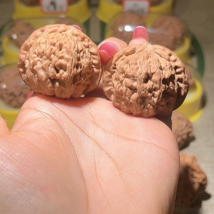 笙*43尺寸白狮子！好运连连