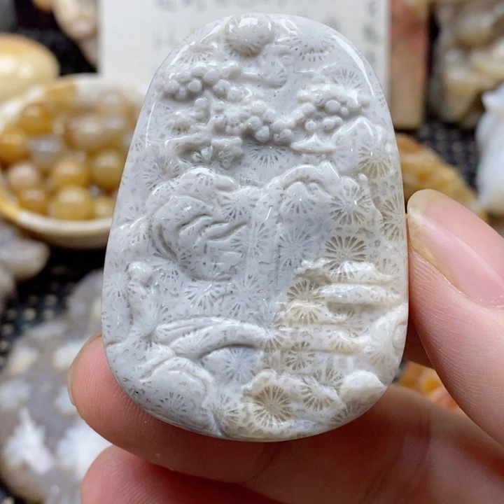 硅化珊瑚（珊瑚玉）颈饰未镶嵌