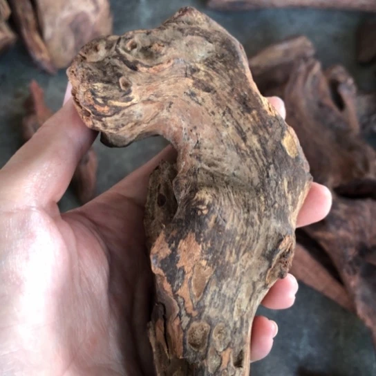 其他黄花梨/降香黄檀