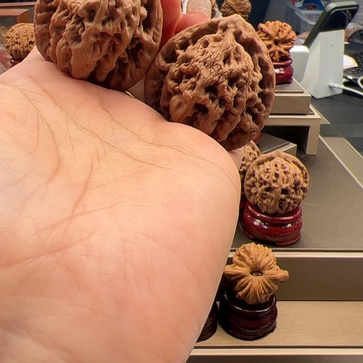 文玩核桃把件38 金公子 a-053